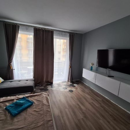 Garsoniera Zebra Διαμέρισμα Μπρασόβ Εξωτερικό φωτογραφία
