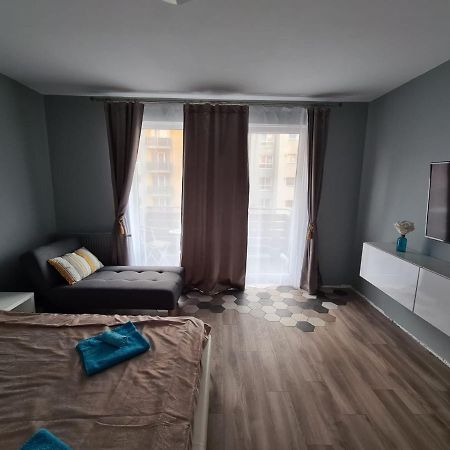 Garsoniera Zebra Διαμέρισμα Μπρασόβ Εξωτερικό φωτογραφία